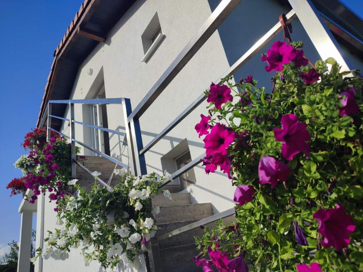 Apartman Flora Vrdnik Eksteriør billede